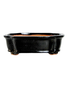 Vaso di Bonsai Rettangolare 15,5*12*5,5 cm Nero - Yixing