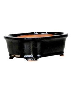 Rechteckiger Bonsai-Topf 15,5*12*5,5 cm Schwarz - Yixing 2