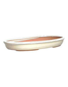 Oval Bonsai Pot 44*34*6.5 cm Cream - Cream 2