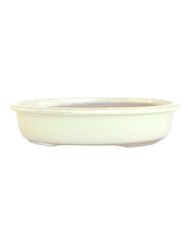 Maceta de Bonsái Ovalada 41*33*6 cm Crema - Japón