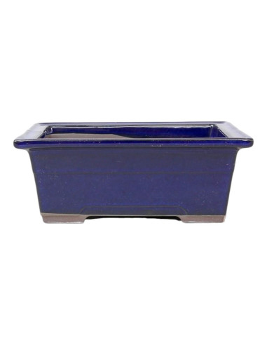 Maceta de Bonsai Rectangular 19*13,5*7 cm Azul - Japón