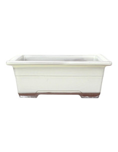 Rechteckiger Bonsai-Topf 19*13,5*7 cm Creme - Japan