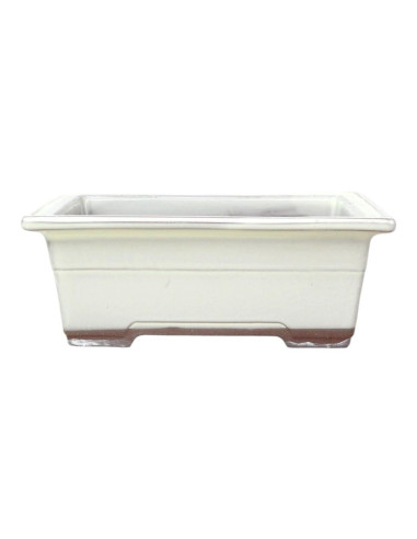 Maceta de Bonsai Rectangular 19*13,5*7 cm Crema - Japón