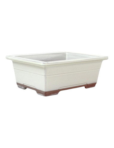 Vaso de Bonsai Rectangular 19*13,5*7 cm Creme - Japão