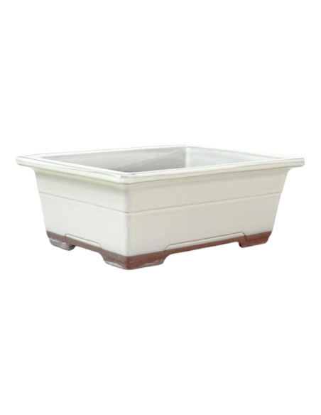 Vaso de Bonsai Rectangular 19*13,5*7 cm Creme - Japão