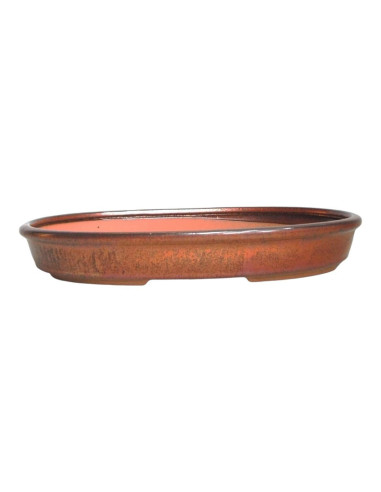 Vase de Bonsai ovale 30,5*20,5*4,5 cm marron oxydé - Yixing