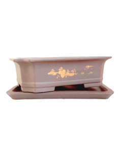 Vaso di Bonsai Rettangolare + Prato 35*25,5*11 cm Senza Esmalte - Yixing 2