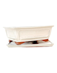 Vaso di Bonsai Rettangolare + Prato 20*16,5*6,5 cm Crema - Yixing 2