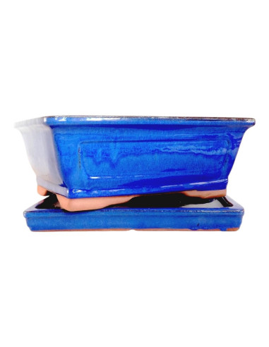 Vaso di Bonsai Rettangolare + Prato 20*16,5*6,5 cm Blu - Yixing