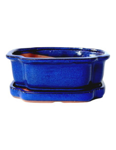 Maceta de Bonsái Ovalada + Plato 15,5*12*5,5 cm Azul - Yixing