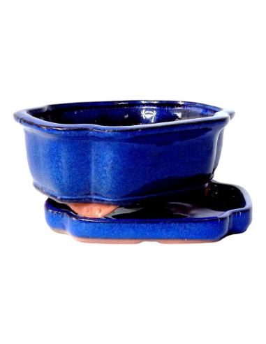 Vase à Bonsai Ovale + Plateau 30*24,5*9 cm Bleu - Yixing