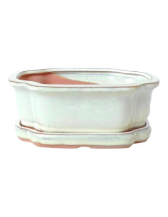Pot de Bonsai Ovale + Assiette 15,5*12*5,5 cm Crème - Yixing