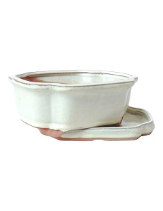Pot de Bonsai Ovale + Assiette 15,5*12*5,5 cm Crème - Yixing 2