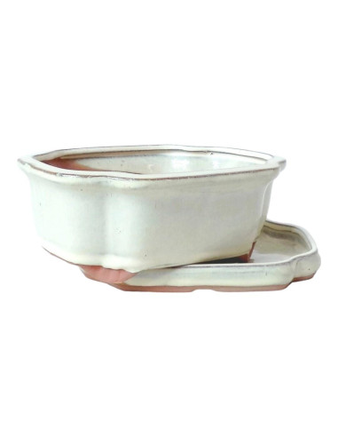 Vaso di Bonsai Ovale + Piattino 15,5*12*5,5 cm Crema - Yixing
