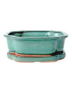 Vaso de Bonsai Oval + Prato 25*20*8 cm Verde - Yixing