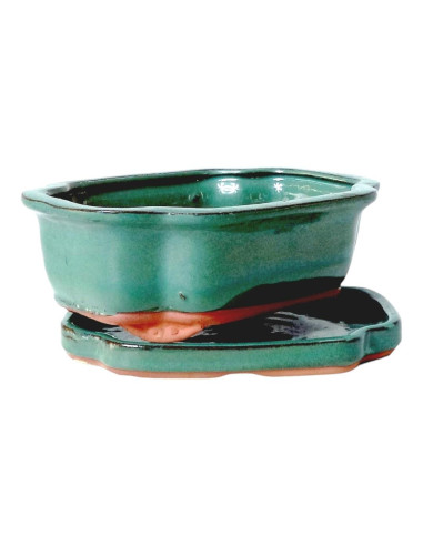 Maceta de Bonsai Oval + Plato 25*20*8 cm Verde - Yixing