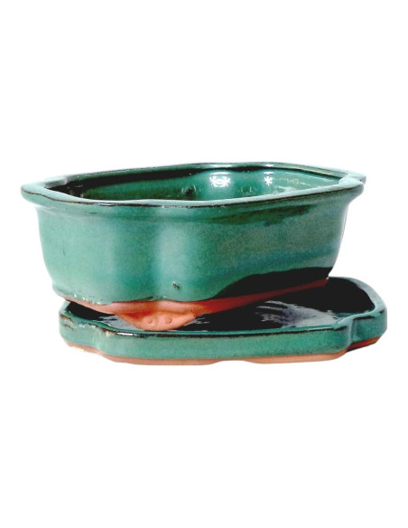 Maceta de Bonsai Oval + Plato 25*20*8 cm Verde - Yixing