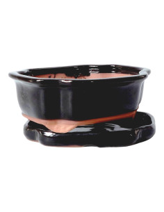 Vaso di Bonsai Ovale + Prato 15,5*12*5,5 cm Nero - Yixing 2