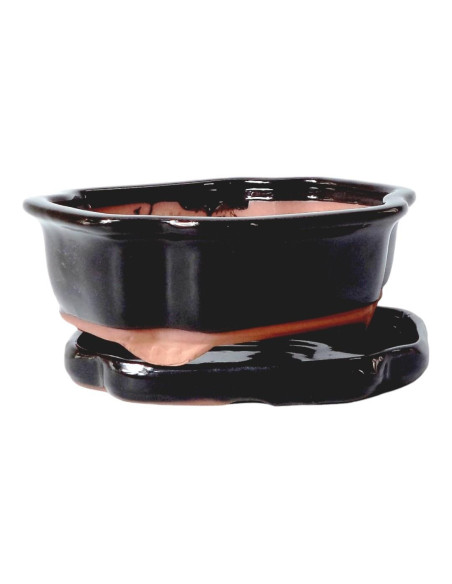 Vaso di Bonsai Ovale + Prato 15,5*12*5,5 cm Nero - Yixing