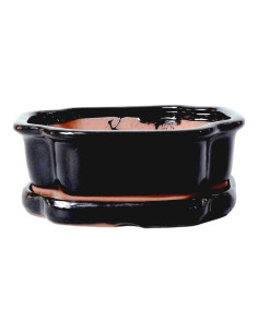 Pot of Bonsai Oval + Saucer 30*24.5*9 cm Black - Yixing