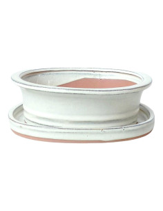 Ovaler Bonsai-Topf + Unterteller 15,5*12*4,5 cm Creme - Yixing