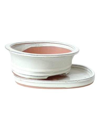 Vaso de Bonsai Oval + Prato 19,5*15*6 cm Creme - Yixing