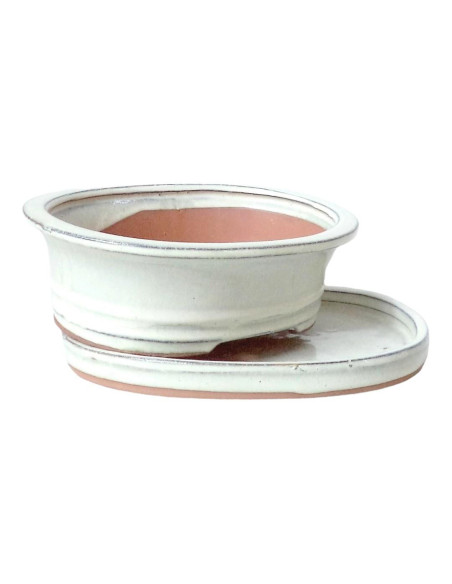 Vaso de Bonsai Oval + Prato 19,5*15*6 cm Creme - Yixing