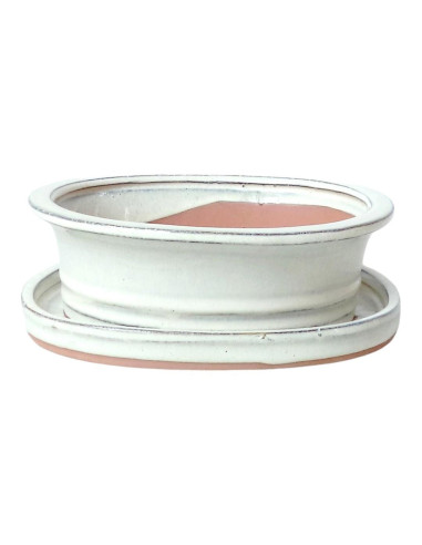 Pot de Bonsai Oval + Saucer 25.5*19.5*8 cm Cream - Yixing