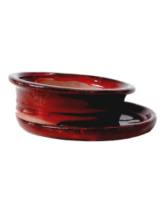 Vaso di Bonsai Ovale + Prato 30,5*25*9 cm Rosso - Yixing 2