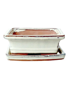 Vaso de Bonsai Rectanglar + Prato 15*11,5*5 cm Creme - Yixing