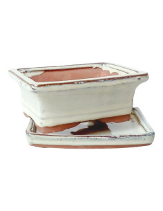 Vaso aus Bonsai rechteckig + Prato 15*11,5*5 cm Creme - Yixing 2