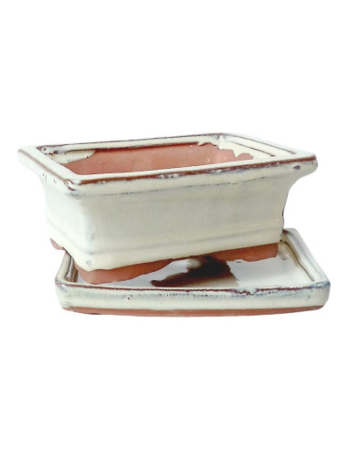 Vaso di Bonsai Rettangolare + Piatto 24,5*19,5*9,5 cm Crema - Yixing