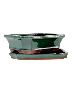 Vaso di Boonsai Rettangolare + Prato 15*12*5,5 cm Verde - Yixing 2