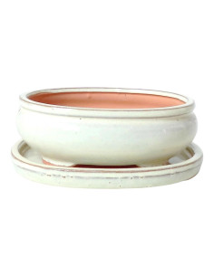 Vaso di Bonsai Ovale + Prato 25*20*8 cm Crema - Yixing