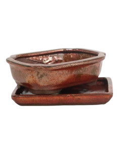 Maceta de Bonsai Rectangular + Plato 21*16*6 cm Marrón Óxido - Yixing 2