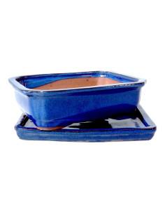 Pot de Bonsai Rectangulaire + Assiette 31*25*8 cm Bleu - Yixing 2