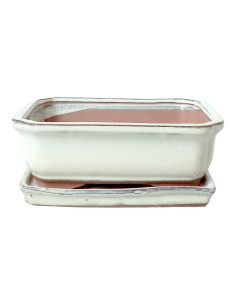 Vaso de Bonsai Rectangular + Prato 22*17*6 cm Creme - Yixing
