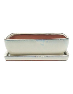 Maceta de Bonsái Rectangular + Plato 25,5*19,5*8 cm Crema - Yixing
