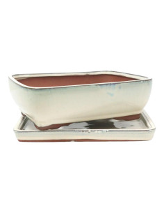 Pot de Bonsai Rectangulaire + Assiette 25,5*19,5*8 cm Crème - Yixing 2