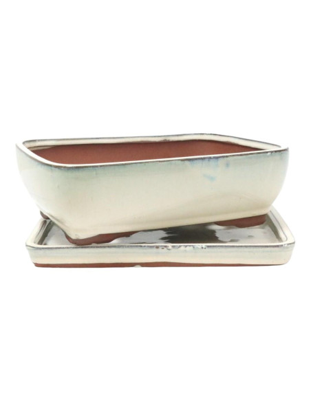 Vaso de Bonsai Rectangular + Prato 25,5*19,5*8 cm Creme - Yixing