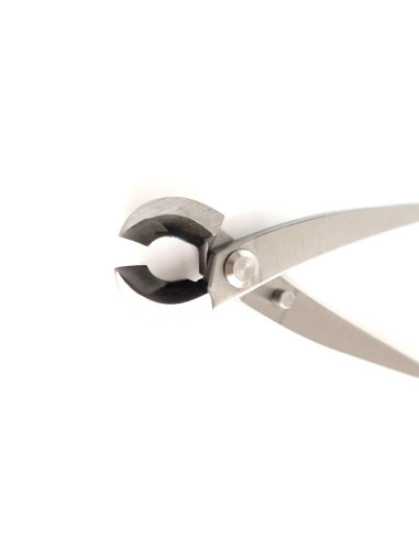 Pinza per Bonsai - Taglio Laterale Rotondo 205 mm - Acciaio Inox Goshin