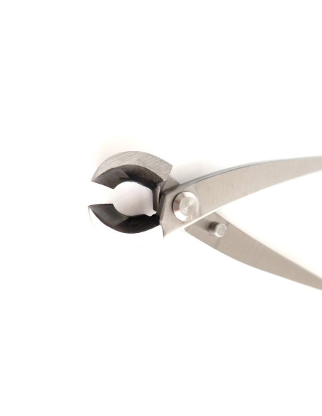 Pinza per Bonsai - Taglio Laterale Rotondo 205 mm - Acciaio Inox Goshin