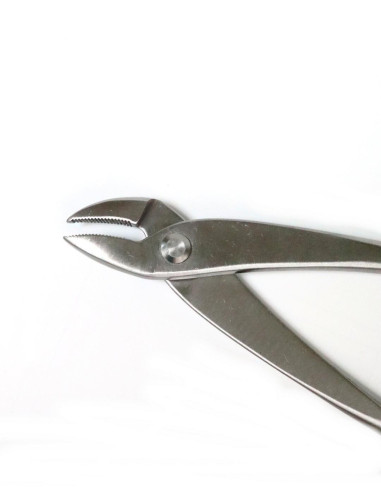 Bonsai Pliers - Curved Jin 180 mm - Goshin Stainless Steel