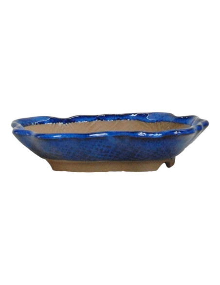 Maceta de Bonsai Bosque 18*13*3 cm Azul - Japón