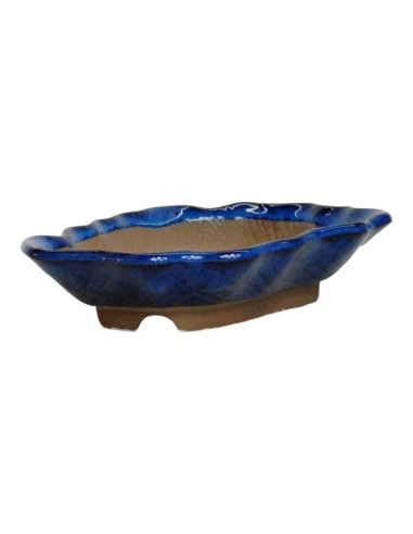Maceta de Bonsai Bosque 18*13*3 cm Azul - Japón
