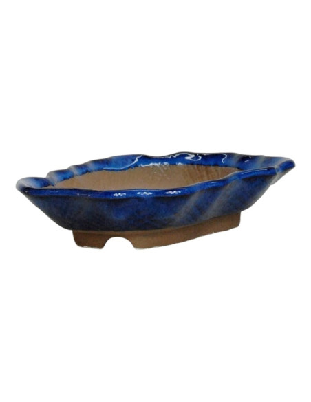 Pot de Bonsai Forest 18*13*3 cm Blue - Japan