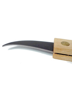Navaja de Jin para Bonsai - 160 mm - "Ryuga" 2