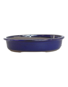 Maceta de Bonsái Ovalada 28*21*5 cm Azul - Japón