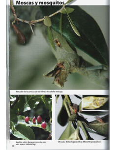 Book - Bonsai Passion - Pests and Diseases of Bonsai 2