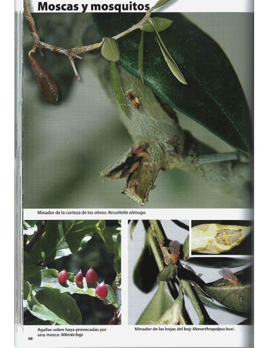 Libro - Bonsai Passion - Plagas y enfermedades de los Bonsáis